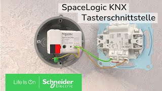 Unsere neuen SpaceLogic KNX Tasterschnittstellen | Schneider Electric