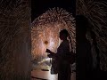 桑名水郷花火大会2026#花火