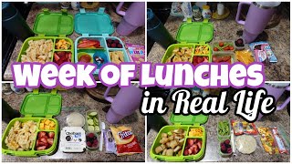 What's In My Kids' Lunchboxes | Easy School Lunch Ideas