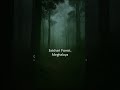 Shaapit Jungle | Tribal Spirits | #bhoot #ghost #hindihorror #darawna #bhootwalavideo #haunted