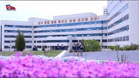 Training Students as Development- and Creation-Oriented and Practical Talents [English]