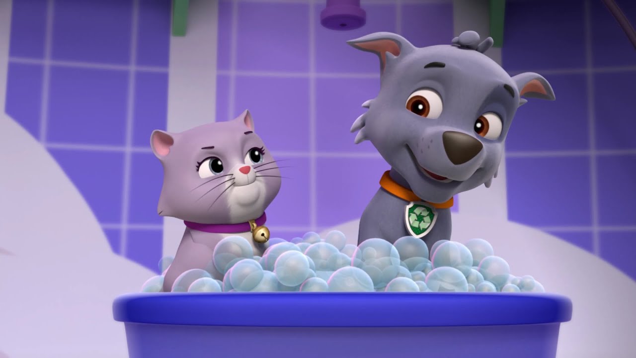 why-me-paw-patrol-youtube
