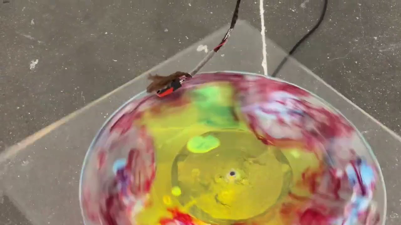 Victoria Shen : Turntable Whip, 2024 | Below Ground at Cuchifritos Gallery