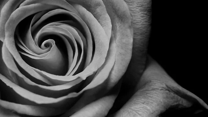 Christian Kuria,Jack Dine,Braxton Cook-Bitter Pill