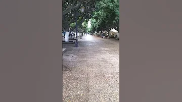 كور يوم بعنابة دنيا كالم تهبل 