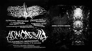 Chemical Castration/Asmodexia SPLIT [Full Album] #gorenoise 