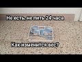 Что будет если не есть сутки?