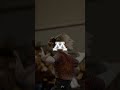 Gopher Gymnastics | Moulin Rouge Leo