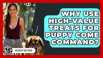 Why Use High-value Treats For Puppy Come Command? - Obedient Dog Guide