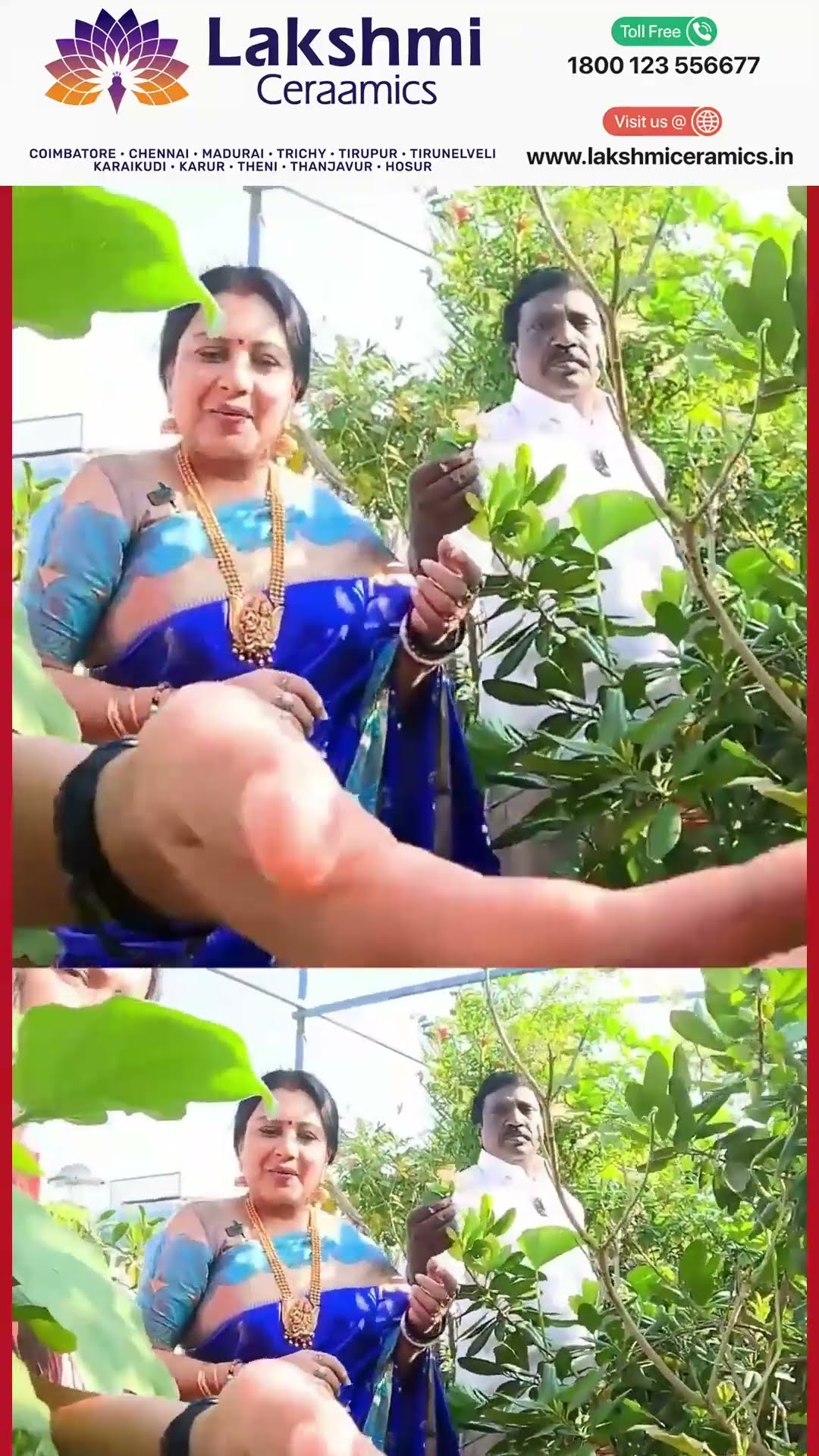 'சாமி பூஜைக்கு பூ வெளிய வாங்க மாட்டேன்..' ?Anitha Kuppusamy Garden Tour ?