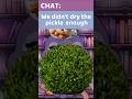 Dry the pickle 🫣 #shorts #vtuber #viral #trending