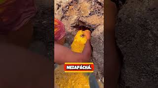 Muž Objevil Zlato V Zemi A Vše Daroval