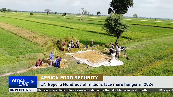 UN report warns hundreds of millions face more hunger in 2024