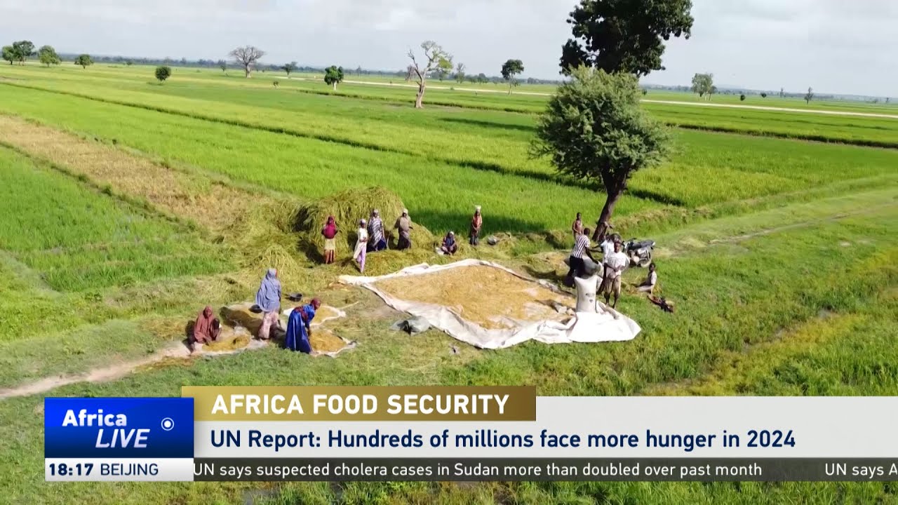 UN report warns hundreds of millions face more hunger in 2024