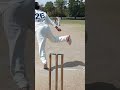 #cricketacadmey #cricket #ipl local cricket live leg spiner