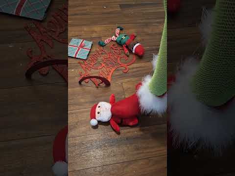 teddy bear CRUSHING #asmr #feet #heels #asmrtapping #bears #explore #bones #grinding #stumping #croc