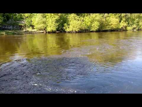 mukhavets river in Brest Fortress