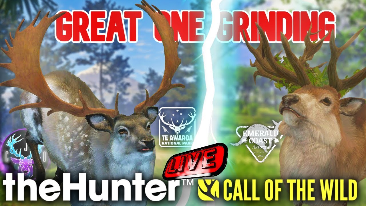 🔴LIVE🔴FALLOW GRIND & RED DEER GRINDING On Emerald coast. The hunter