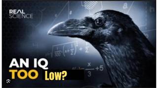 Playing that invincible game again