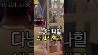 다낭 바나힐 케이블카 새치기 현실