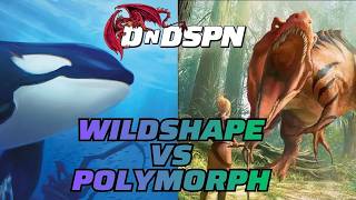 Wild Shape vs Polymorph: Which Transformation Wins
