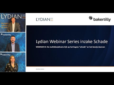 Lydian Webinar Series Schade III - De multidisciplinaire kijk op het begrip “schade”