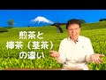 煎茶と棒茶（茎茶）の違いをお茶屋さんが詳しく解説します！