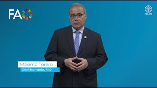 The Financing for Shock Driven Food Crises Facility: Q&A Máximo Torero, Chief Economist of FAO