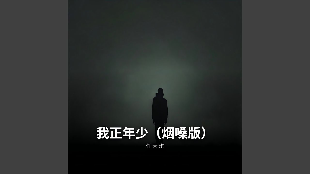 我正年少（烟嗓版）