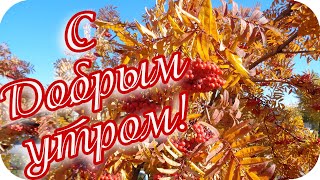 С Добрым Утром! 🌸Пусть Утро Будет Чудесным! 🌸Музыкальная Видеооткрытка🌸Good Morning!🌸