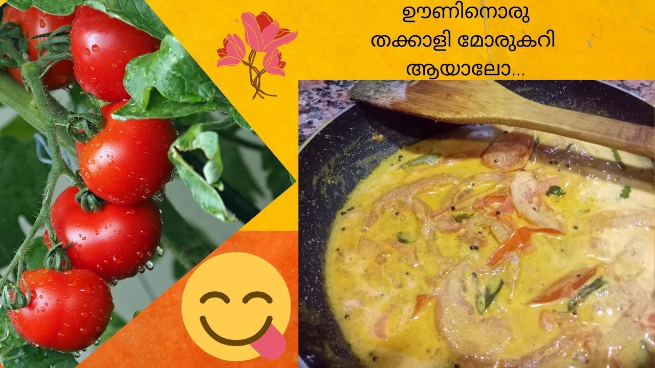 THAKKALI MORU CURRY/തക്കാളി മോരുകറി/TOMATO CURD CURRY..... YouTube