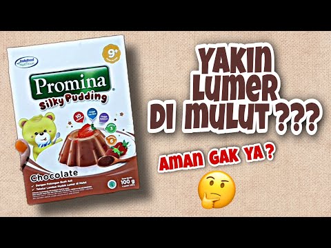 Cara Membuat Silky Puding Promina