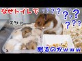 すし詰めになってしまった子供たちを発見した母親の反応が予想外すぎたwwww