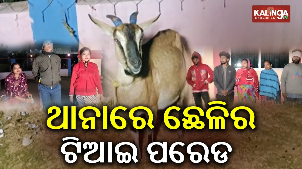 Goat ownership dispute baffles police at Nilagiri in Balasore | Kalinga TV