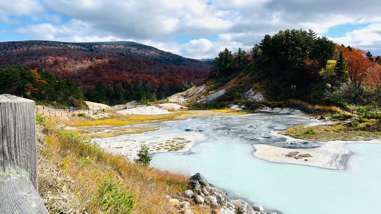 紅葉の🍁後生掛自然研究路スライドショー　2025年10月23日