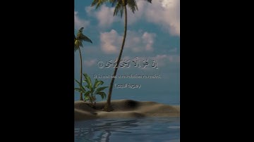 #قرآن. #قران_كريم. #الشيخ ناصر القطامي. #سورة النجم 🌺🤍