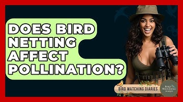 Does Bird Netting Affect Pollination? - Bird Watching Diaries