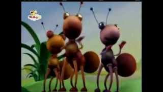 Big Bugs Band Babytv