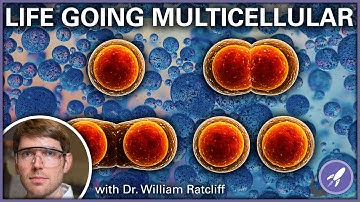 Jumping to Multicellular Life with Dr. William Ratcliff