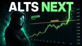 Crypto Bears I Warned You
