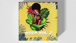 "WOZA" AMAPIANO X AFROBEAT ALL IN ONE PACK | "WOZA - AFROPIANO ALL IN ONE PACK VOL II"