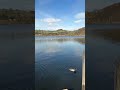 Pooley Bridge #lakes #travel #lakedistrict #views #youtubeshorts
