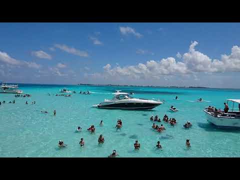 カリブ海 ケイマン諸島 Caribbean Stingray