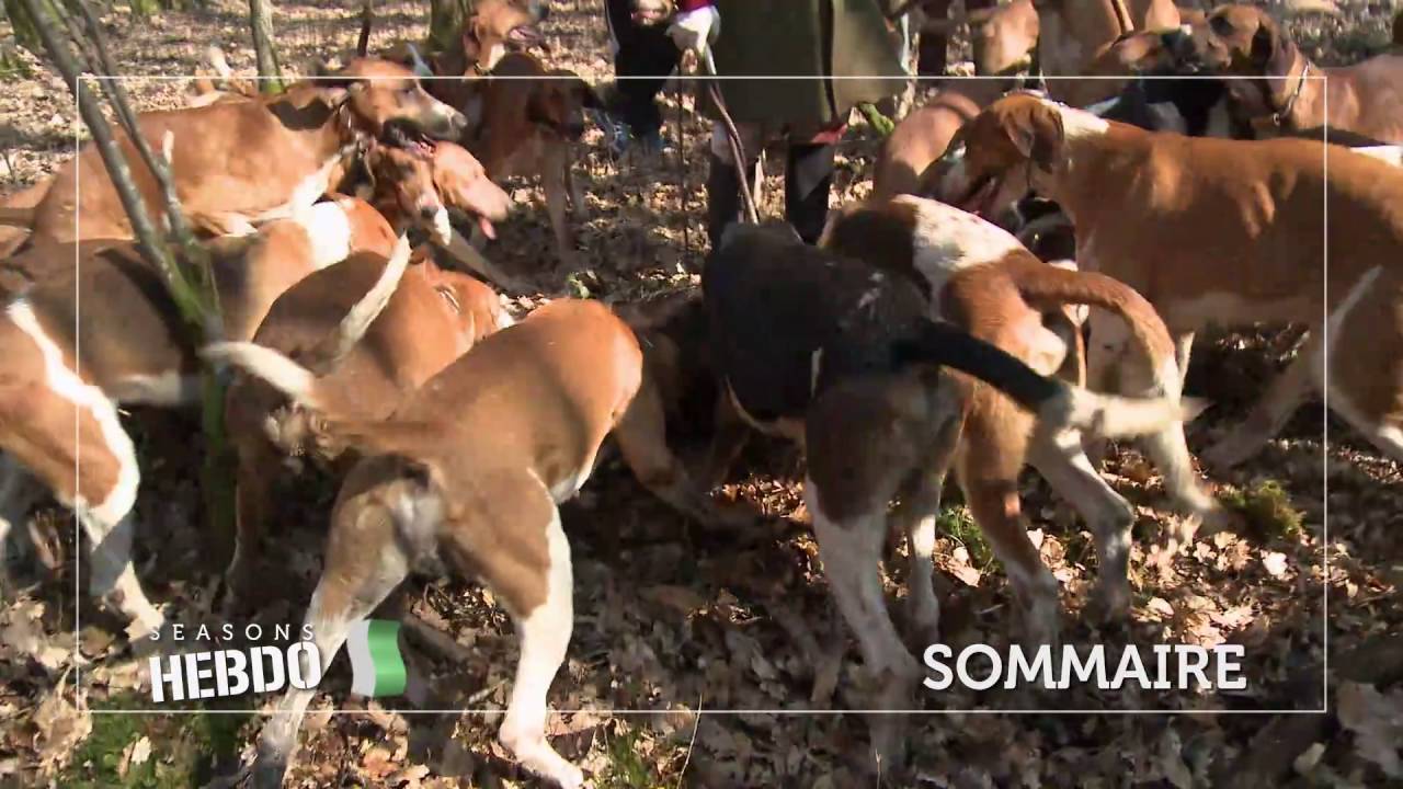 SEASONS HEBDO N°213