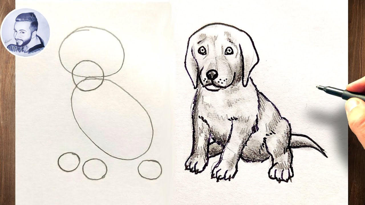 Dessiner Chien Avec 6 Ronds