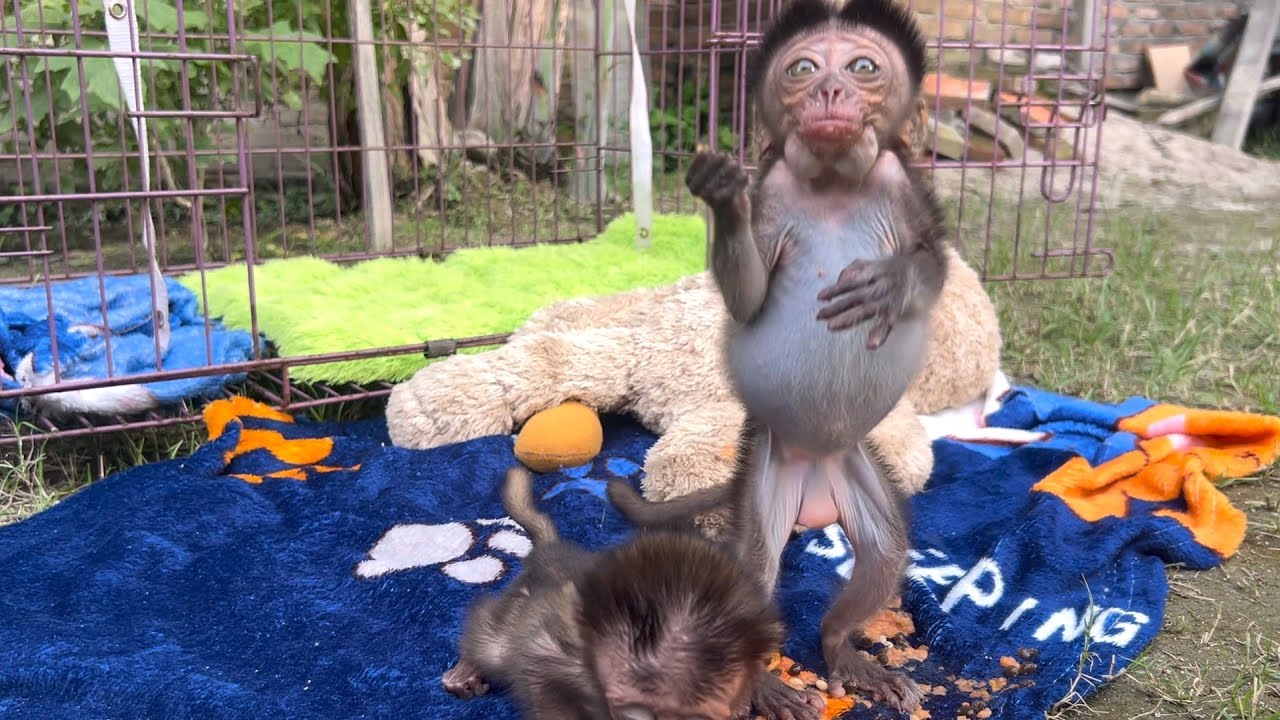 Omg, Wini, your face is so cute when you look at me like that, your facial expression is so adorable