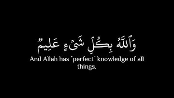 كروما شاشة سوداء قرآن - سورة الحجرات