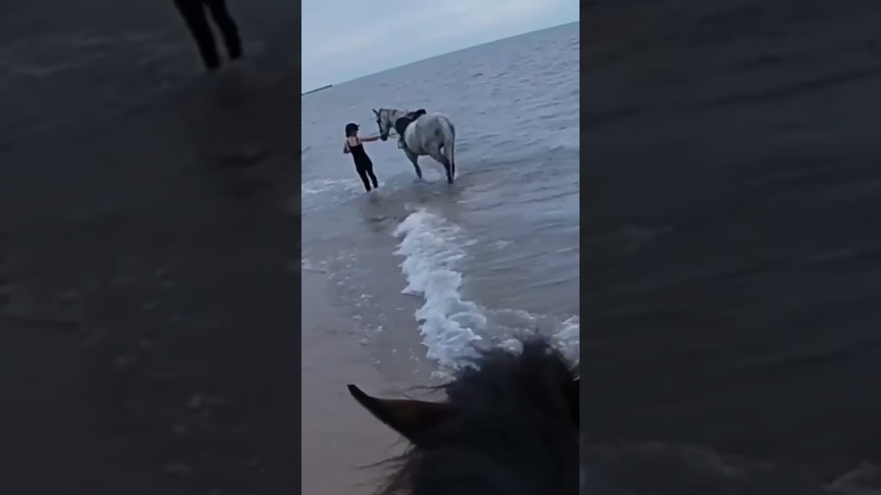 Beach trip fail! 🤣
