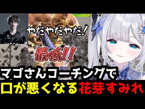 【スト6】「最低！!」マゴさんのコーチングで思わず口が悪くなってしまう花芽すみれ(解説付き)【花芽すみれ/マゴ/ぶいすぽ切り抜き】