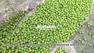 Industrial Pea Shelling Machine: High-Capacity Automated Pea Sheller for Bulk Processing #pea depod